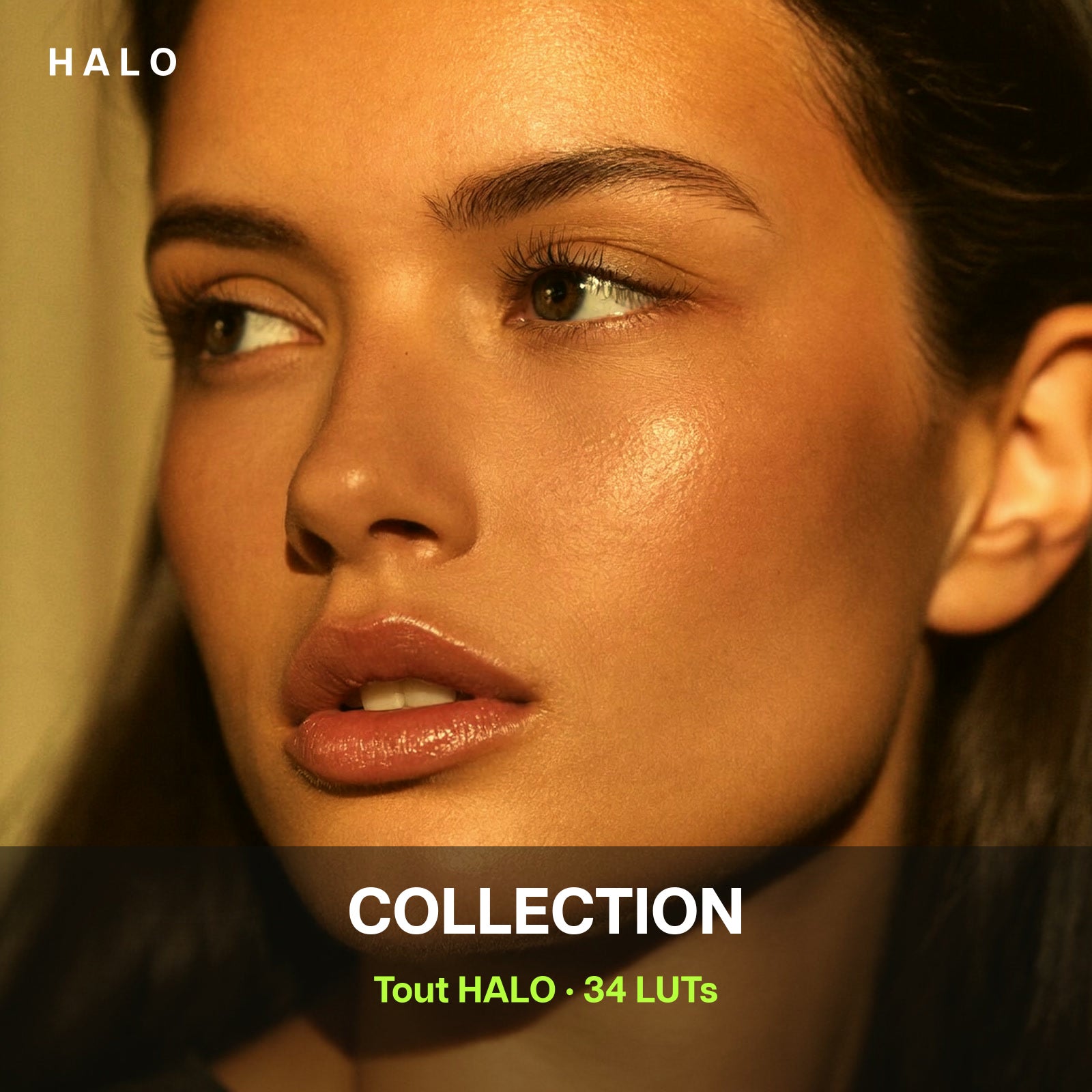 HALO COLLECTION — 34 LUTs, tout HALO